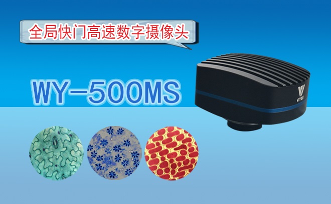 全局快門高速數字攝像頭WY-500MS